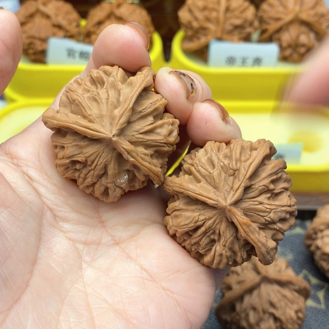 文玩核桃把件632号牡丹花王丁