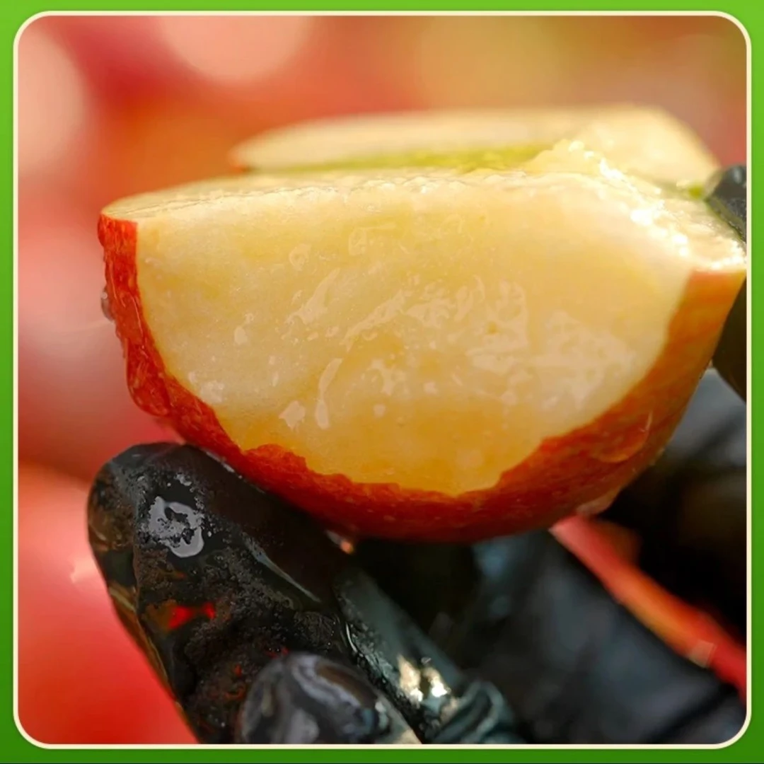 云南西北勒荒野小苹果珍珠小苹果冰糖心小苹果脆甜多汁5/9斤装