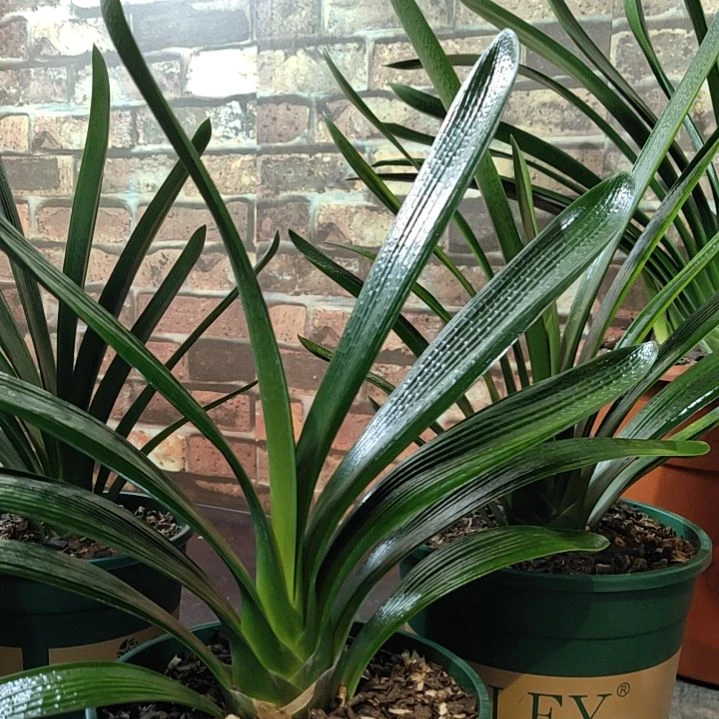 完全开放11111111