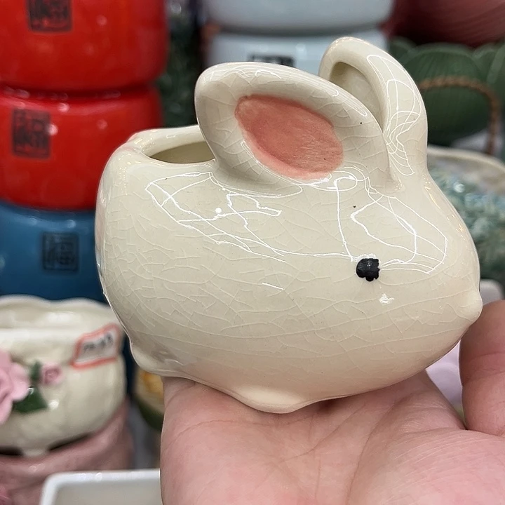 多肉植物陶瓷花盆9.99包邮