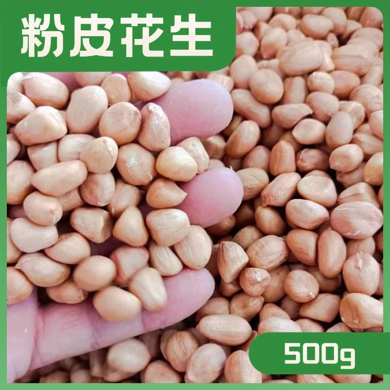 粉皮花生种子新鲜晒干农家花生籽不带壳粉色花生衣小菜园春季种植