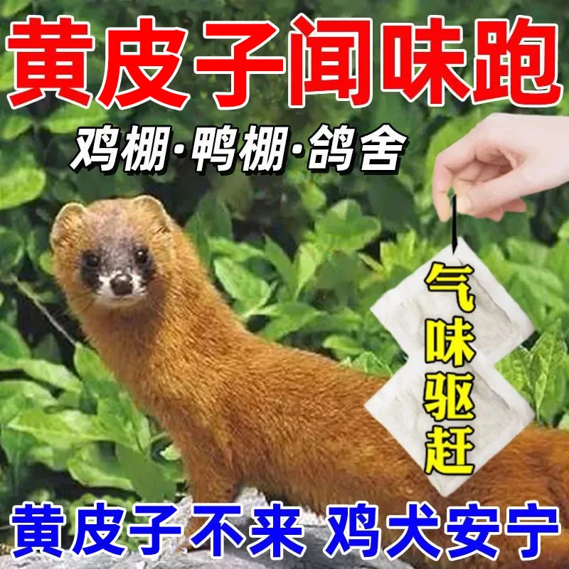 黄狼驱赶神器防黄狼香精包养殖场鸡鸭鹅鸽舍家用驱赶