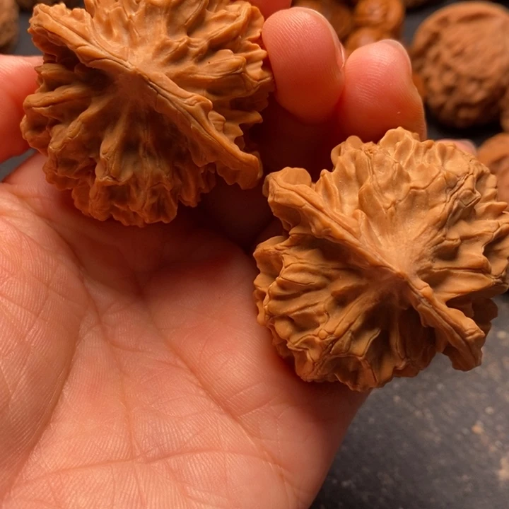 秦岭野生文玩核桃