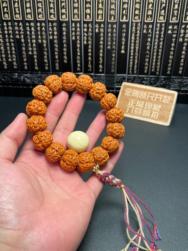 新品大金刚菩提（3号）