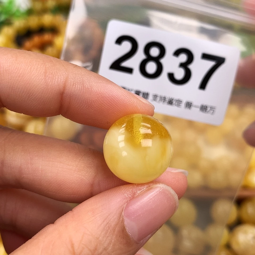 未镶嵌蜜蜡珠宝奇石17.5