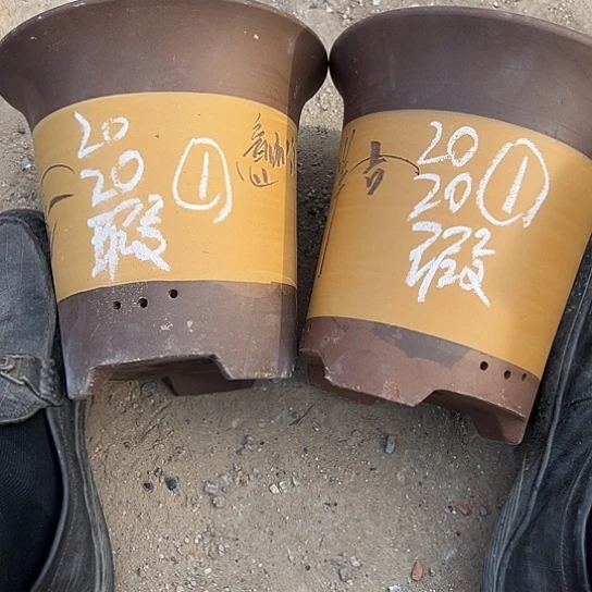 紫砂工艺厂……紫砂工艺厂、紫砂工艺厂