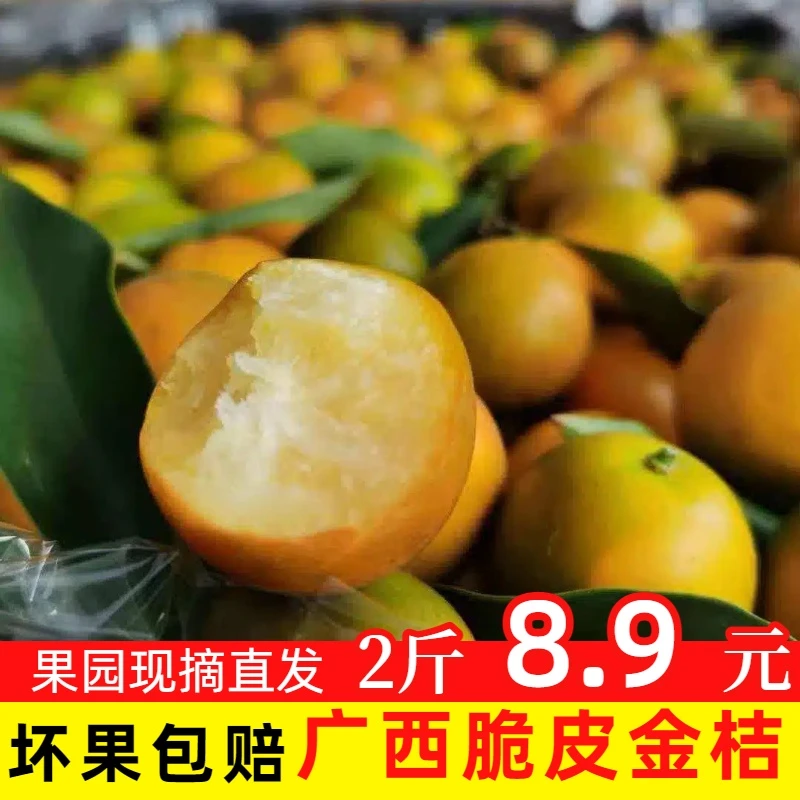 广西桂林脆皮金桔二代纯甜无酸应季水果融安滑皮新鲜小金桔橘子