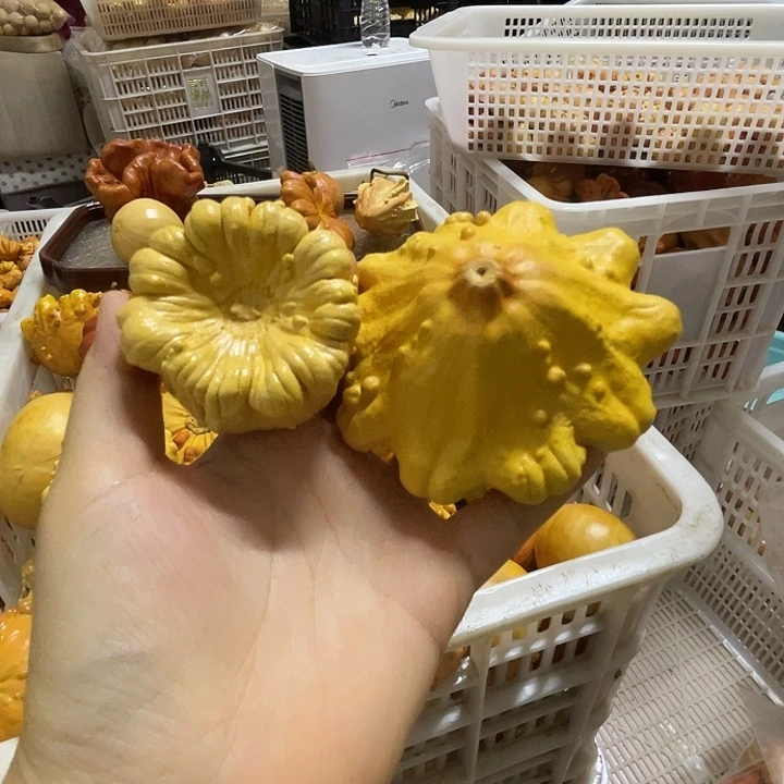 苯***明特价葫芦不退不掉