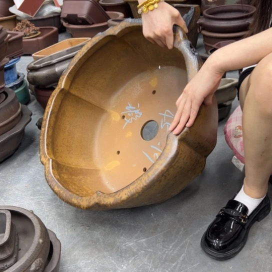 小***黄紫砂花盆哦了漂亮