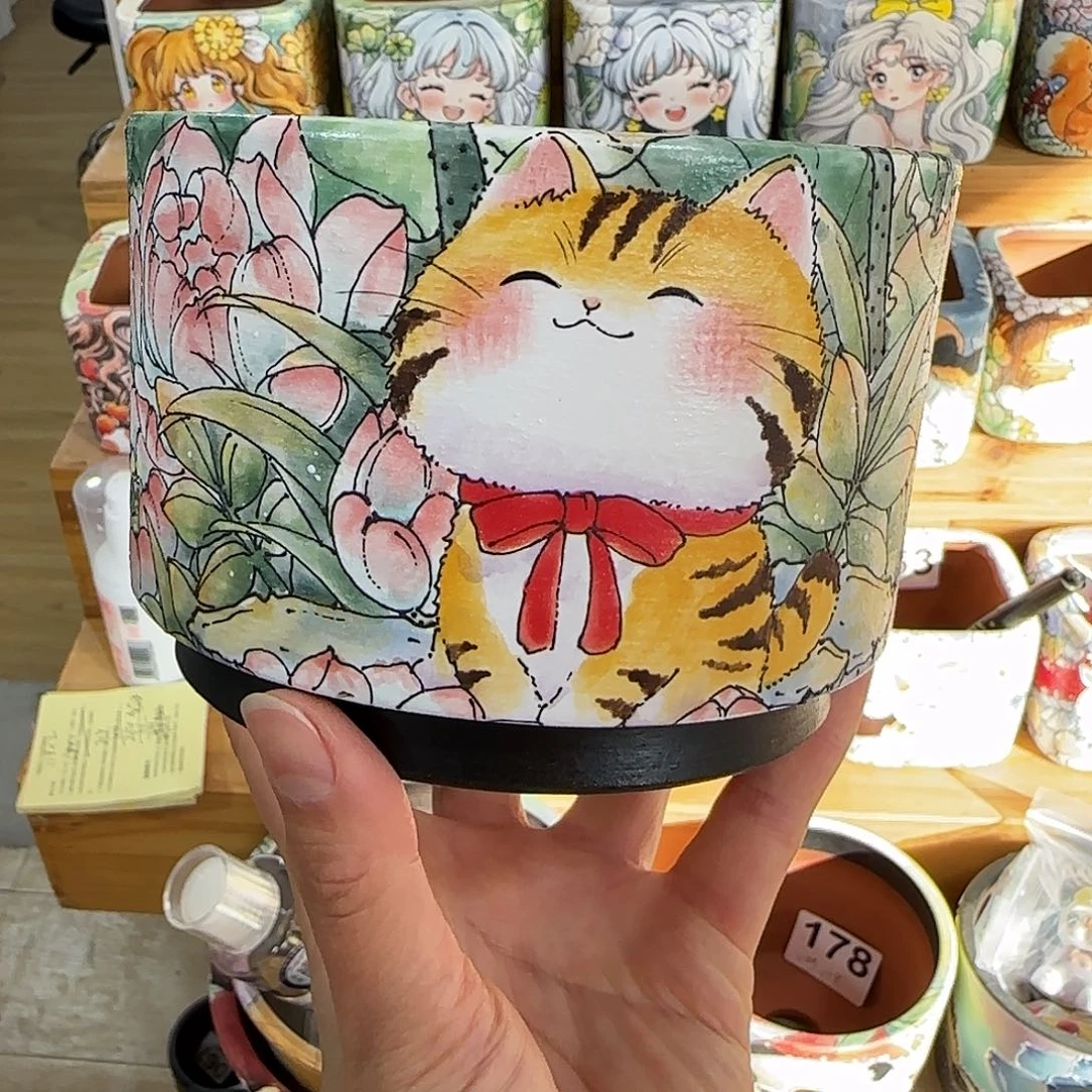 红陶25666666666666