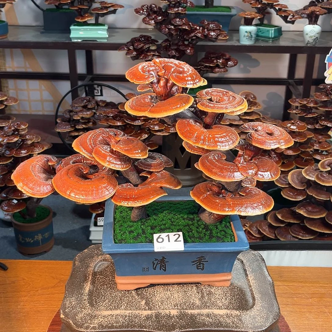 无花朵万事如意8888888888888888