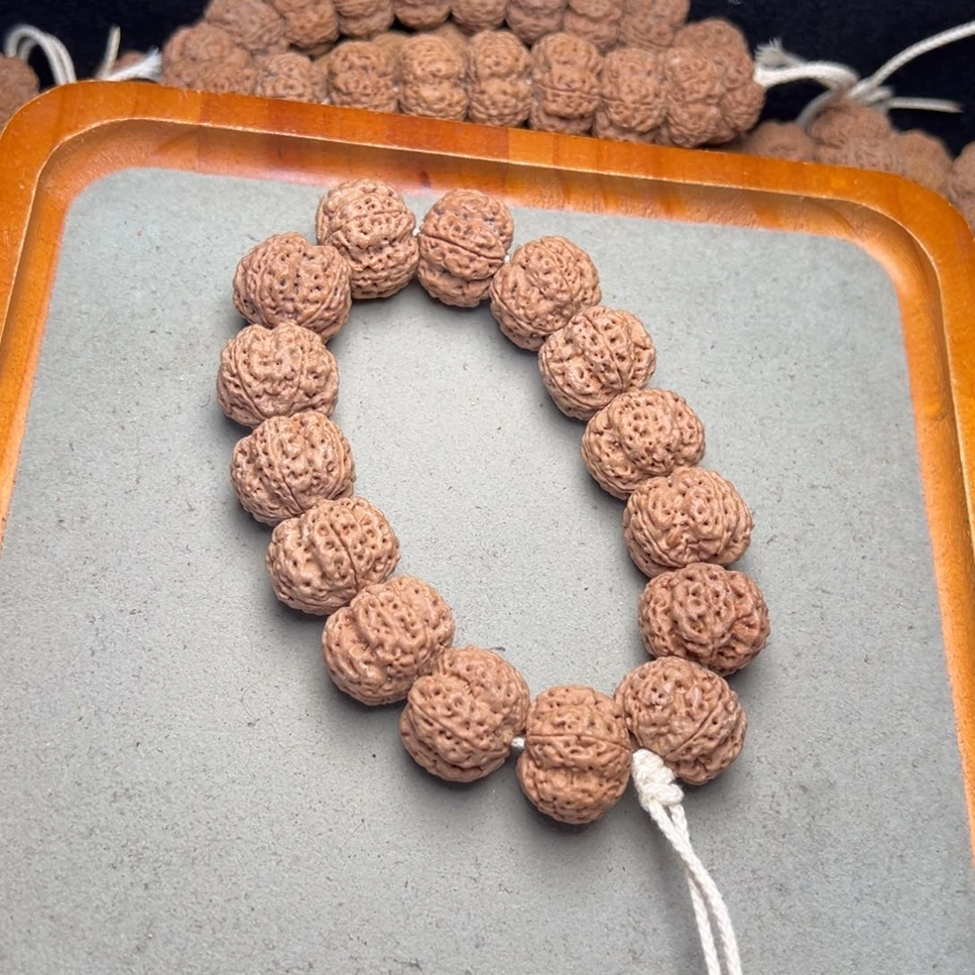 菩提15号金刚菩提梁梅花满肉22+