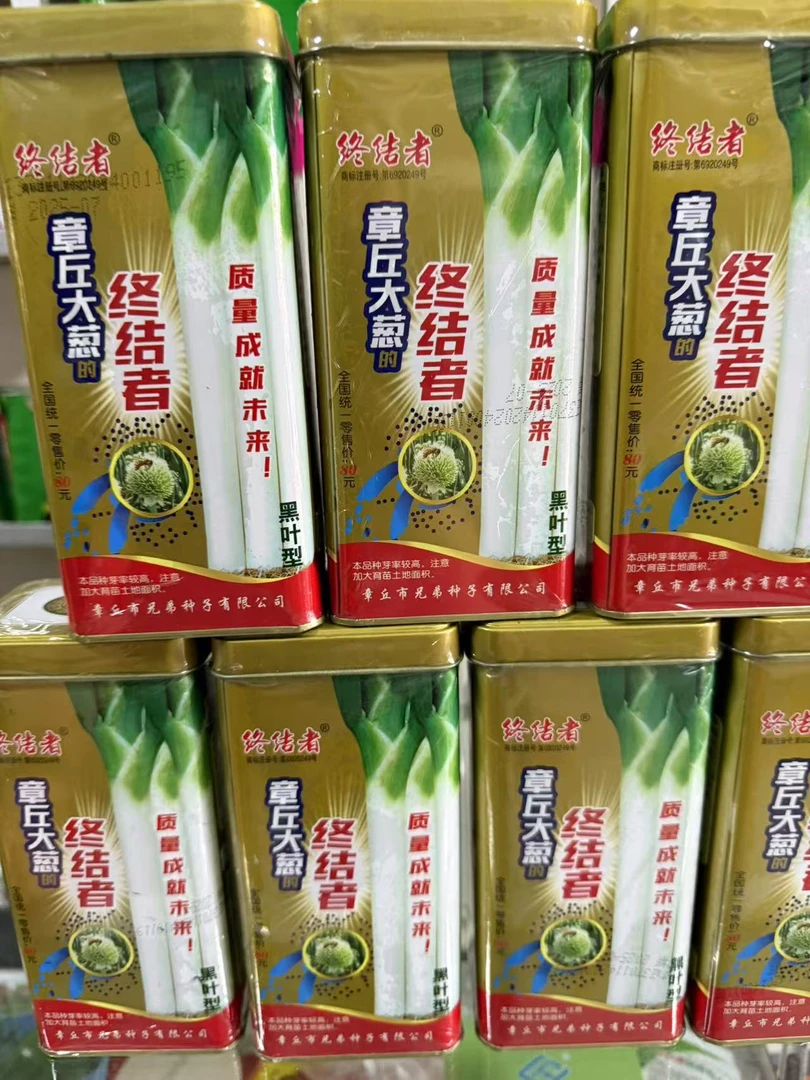 铁盒章丘大葱种子