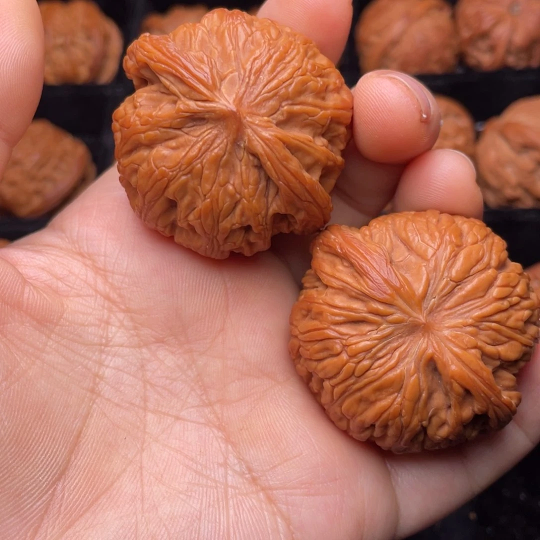 把件文玩核桃秦岭山脉文玩核桃
