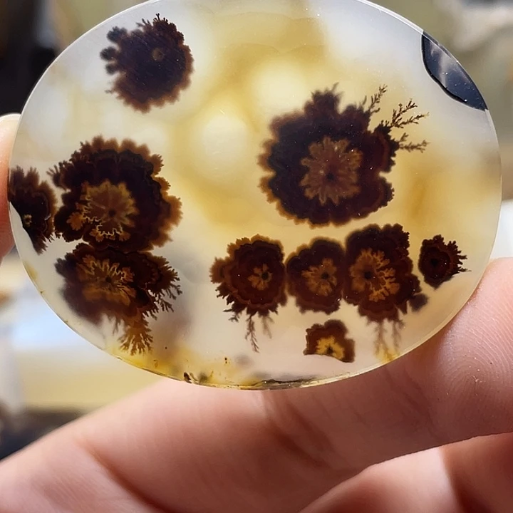 泥***人玛瑙/玉髓未镶嵌颈饰