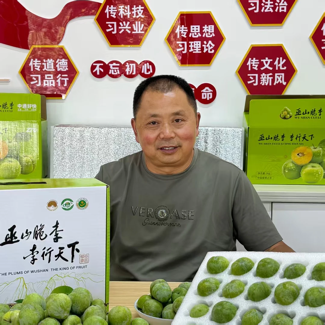 (小果)巫山新鲜现采脱骨青脆李脆甜多汁