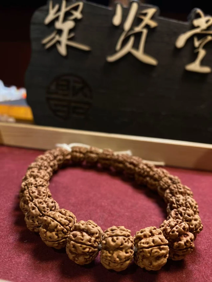 2025新籽鳄鱼梅花大尺寸小金刚手持