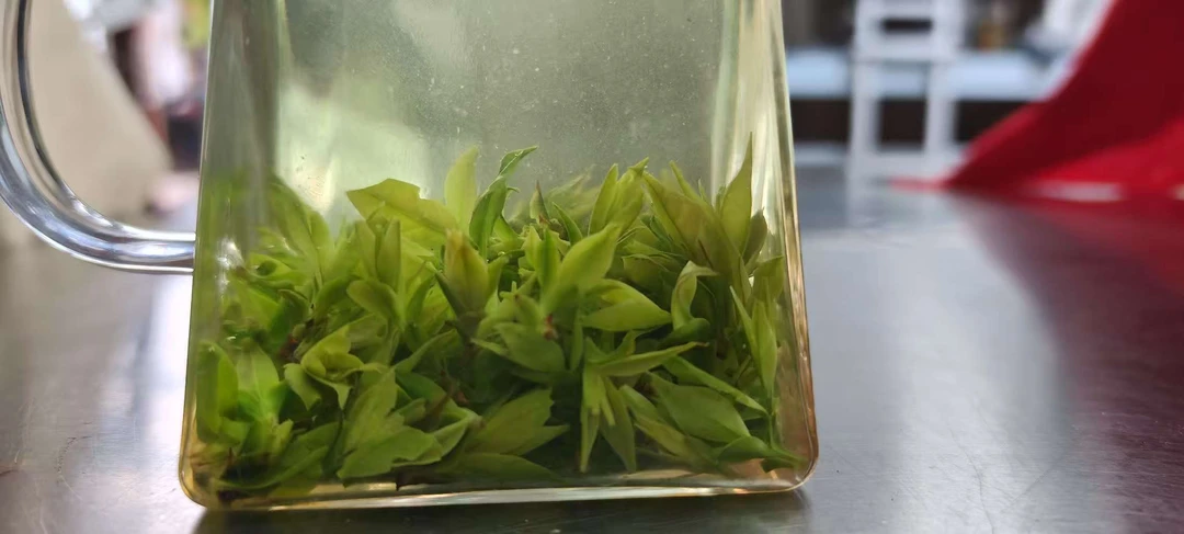 【小张助农山货】现收土特产~新生草80克