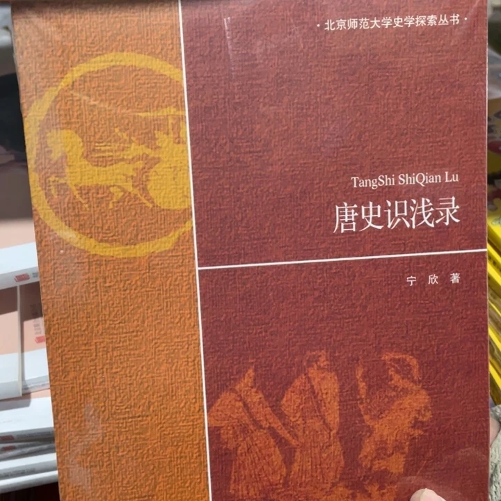 唐史论从正版塑封