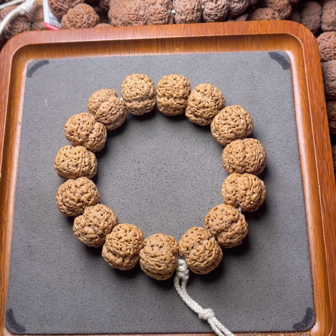 菩提籽类10号金刚菩提梁梅花2