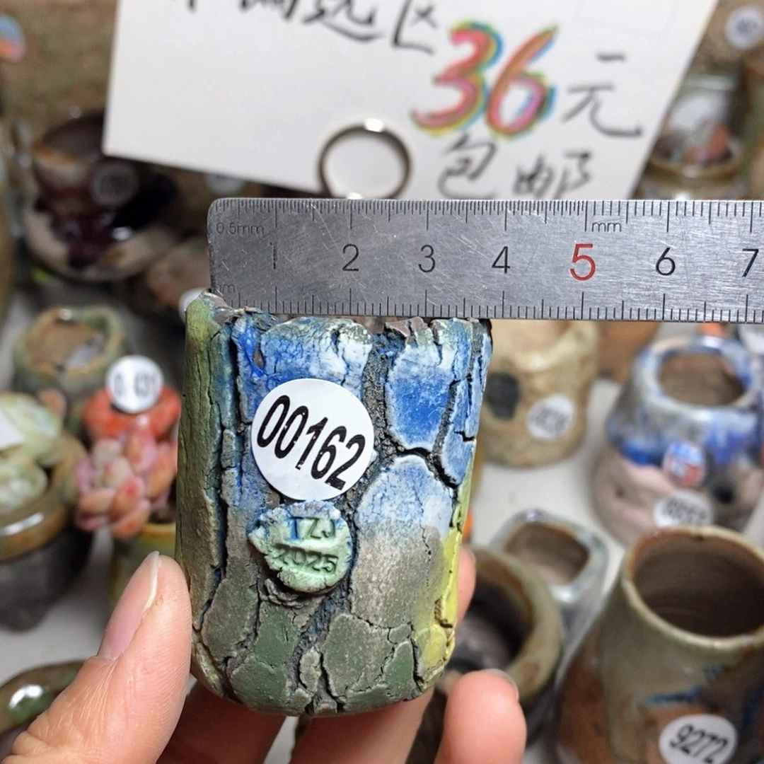 花盆拍3送一个小礼物