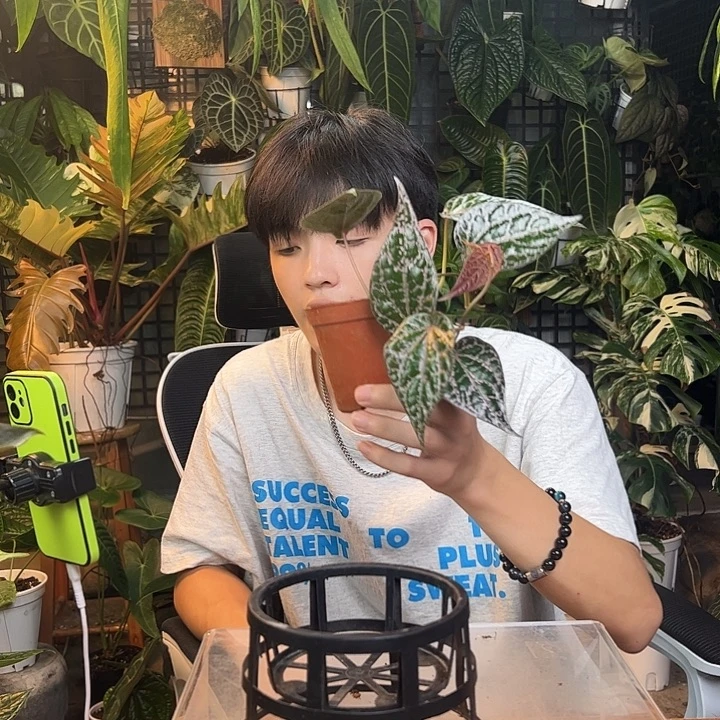 现***5完全开放一物一拍J178