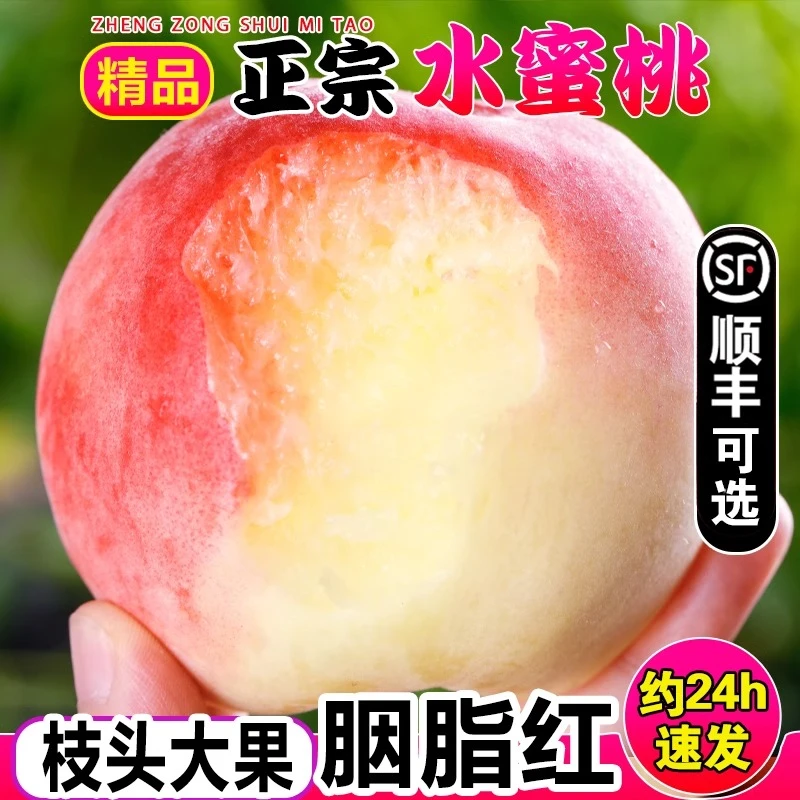 【顺丰】水蜜桃新鲜现摘桃子孕妇水果毛桃脆桃整箱包邮5斤大果