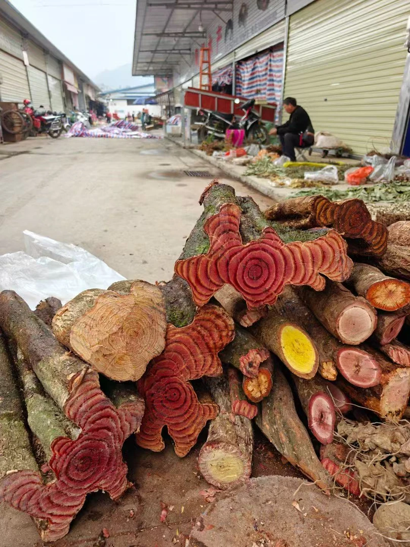 云南深山老藤一件10斤左右 10包不同老藤组合装