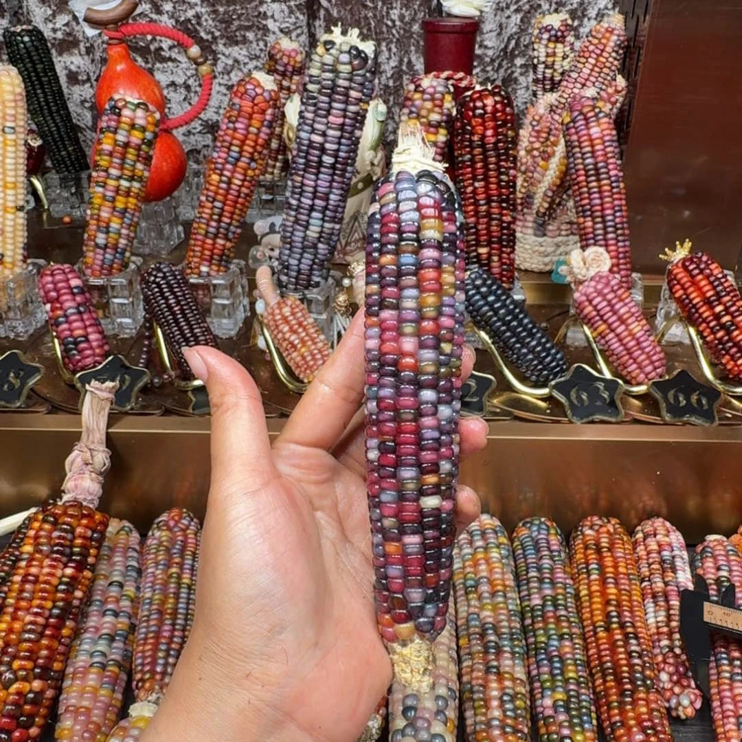 李***：吊坠柏香籽/百香籽