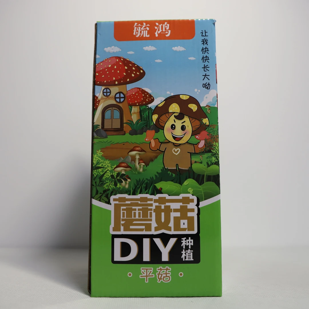 蘑菇种植盒趣味DIY菌包盆栽家庭园艺益智玩具