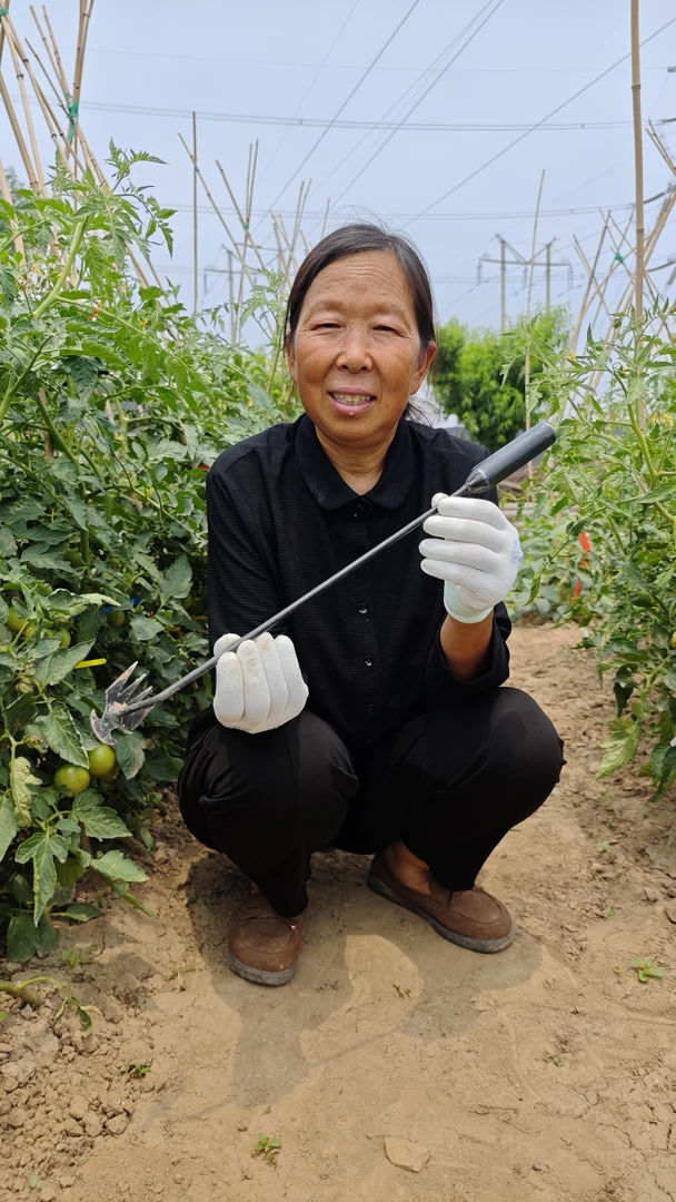 除草神器园艺锄草耙子农具松挖土小锄头