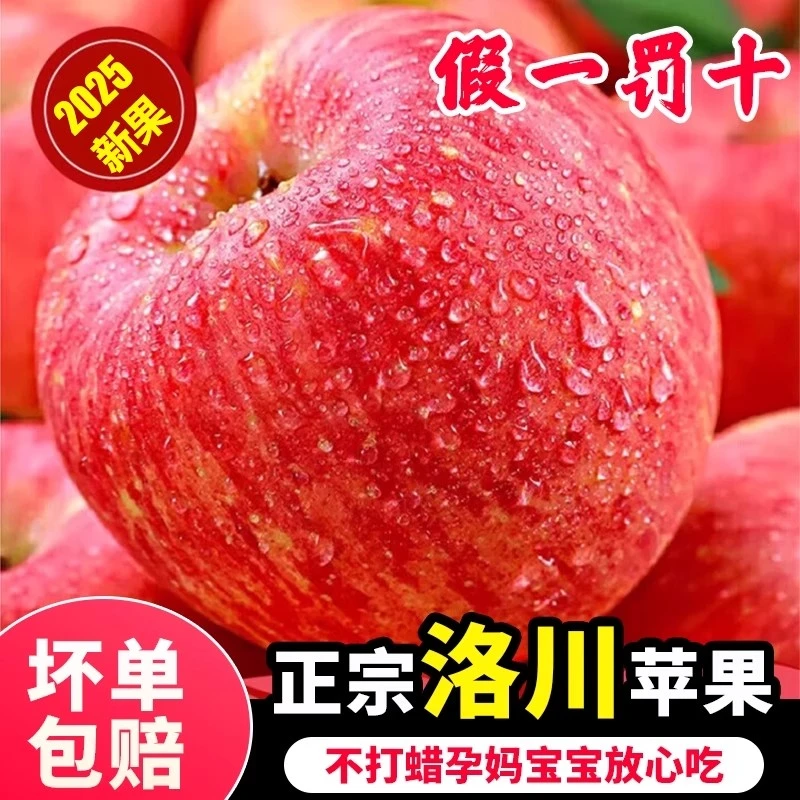 【25年头茬带箱9-10斤】正宗洛川苹果陕西红富士苹果新鲜现摘ffxg2.