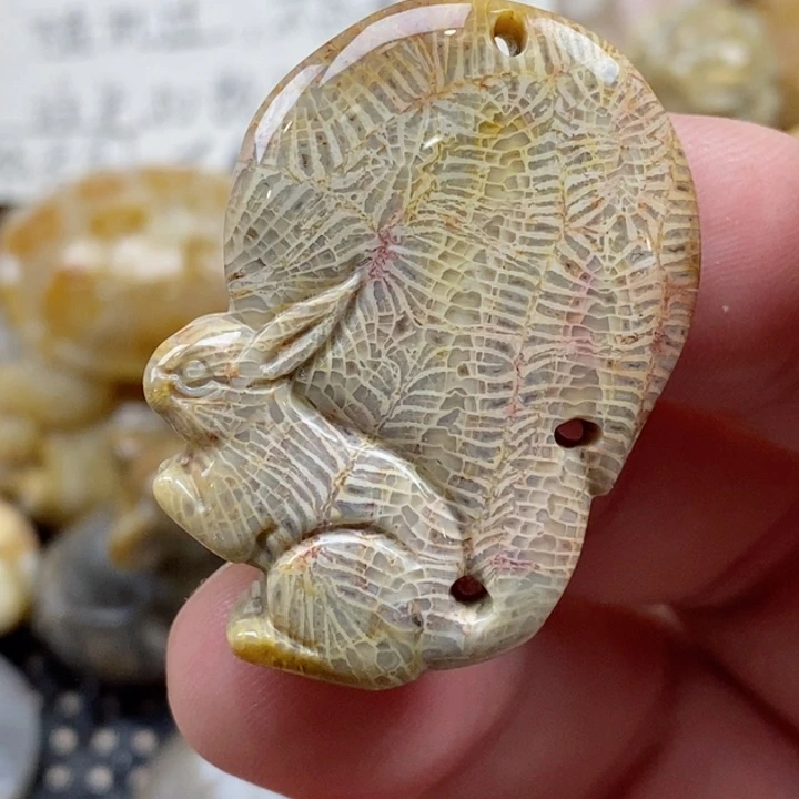 颈饰未镶嵌硅化珊瑚（珊瑚玉）小