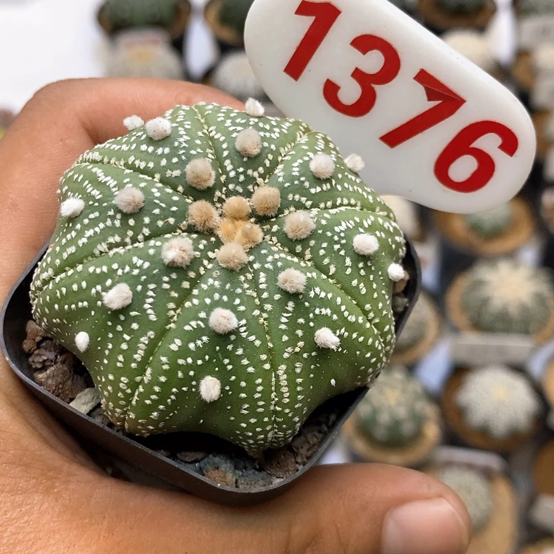小***满1376福利特价来了打