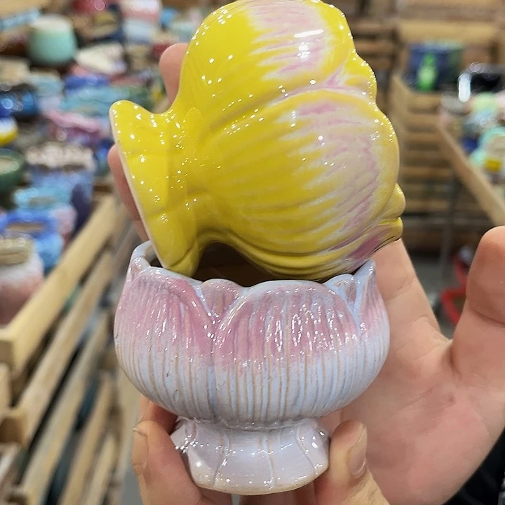 福利款！数量有限！