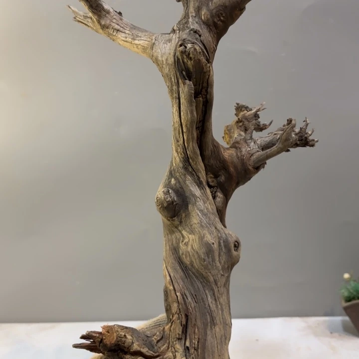 e***谷崖柏高油雕刻坨坨