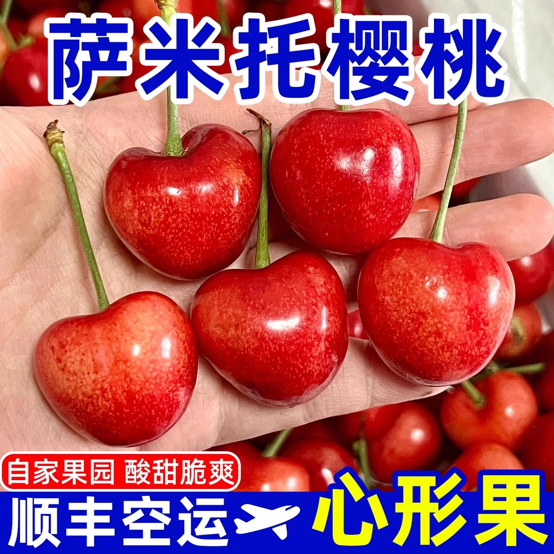 【冰糖心萨米脱】果园现摘脆甜爽口露天树熟萨米脱大樱桃