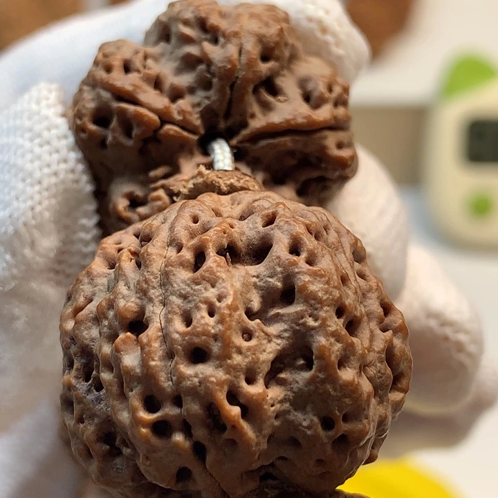 吊坠金刚菩提#****涛28尺寸巨无霸