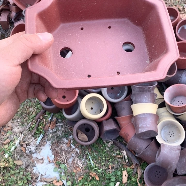 紫砂淘宝的时候就不要去