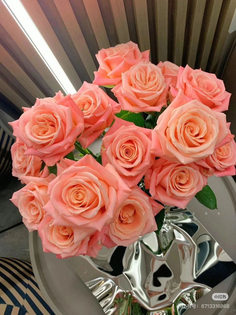 【好物鲜花】朱小姐玫瑰20只 两单包邮