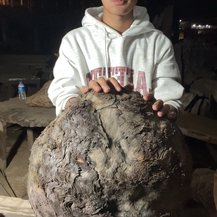 阴沉木铁栗木原材料