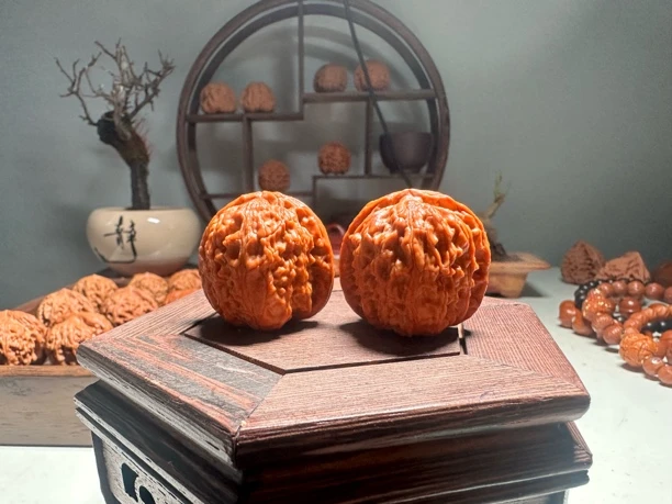 文玩核桃白狮子核桃无药