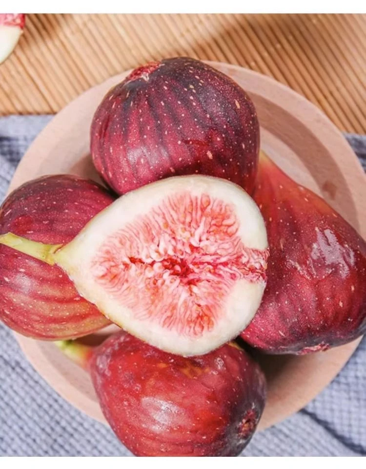 波姬红无花果新鲜孕妇水果应季特大果红皮无花果鲜果树上成熟