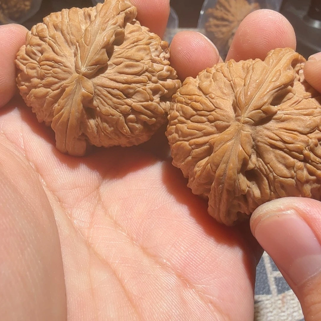 文玩核桃把件白狮子