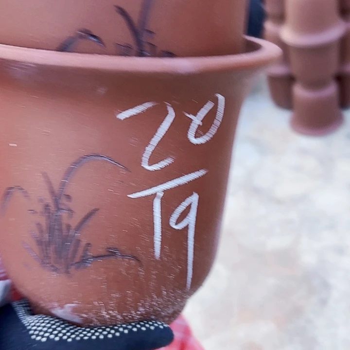 茶壶紫砂紫砂的颜色