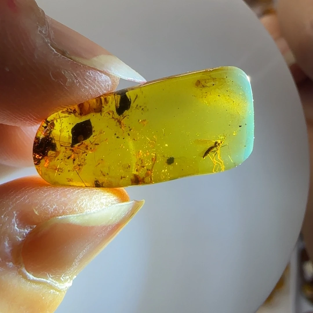 琥珀裸石未镶嵌蚊子