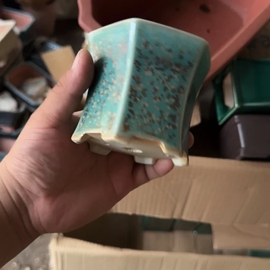 在干嘛的我还以为自己没看