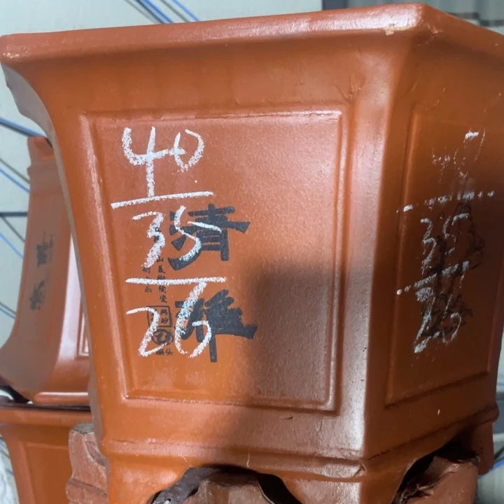 周深周深周深周深周深