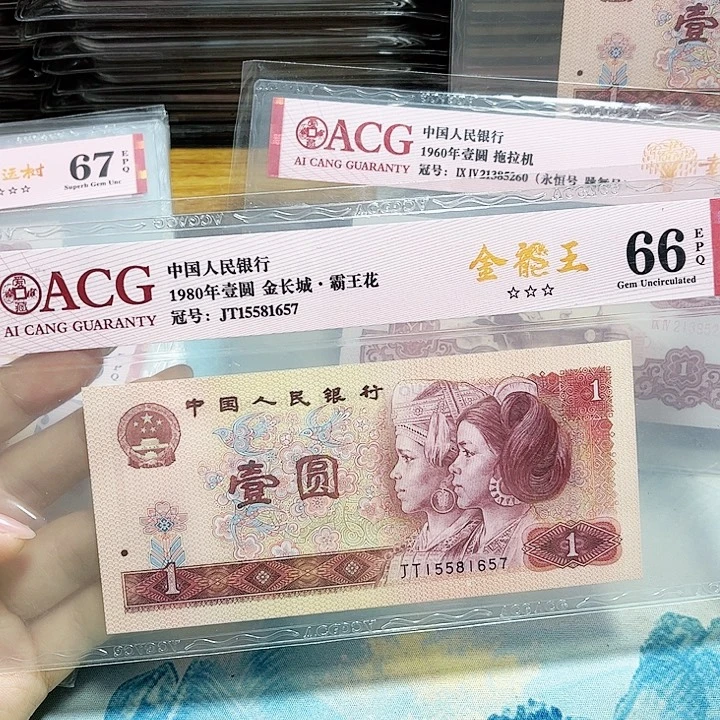 15581657。。。。。金龙王