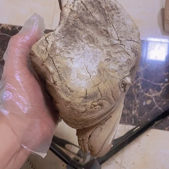 柏木古**香陈化到位坨坨疙瘩